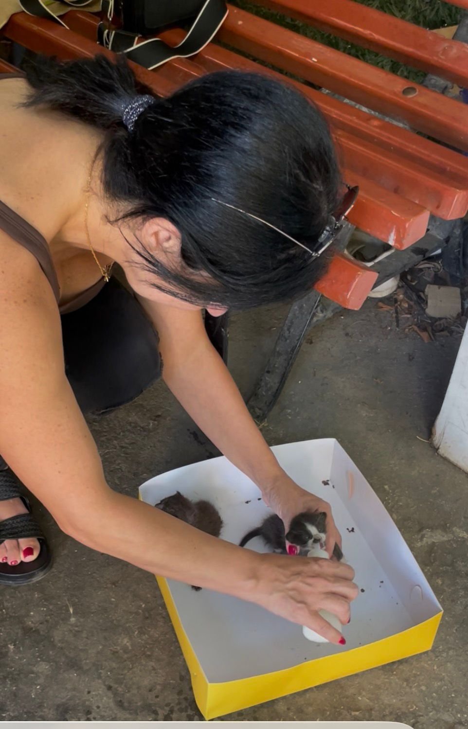 Providing hands-on care to vulnerable kittens